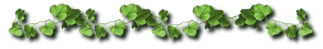 sw3bar.gif (15764 bytes)