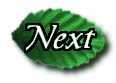 sw3next.gif (5081 bytes)
